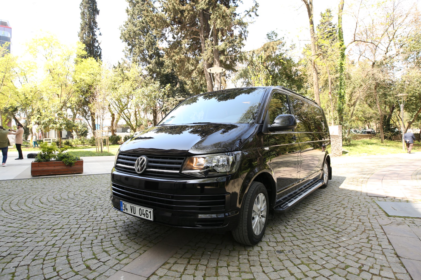 VIP Minivan side